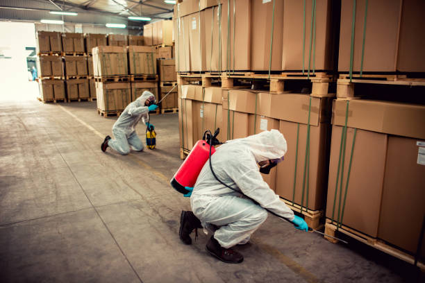 Flea Control Services in Collinsville, OK