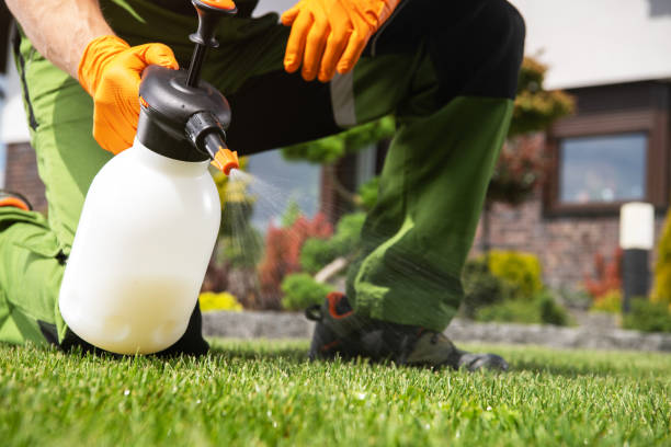 Best Pest Removal Services  in Collinsville, OK