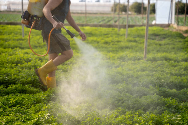 Best Exterminator Services  in Collinsville, OK