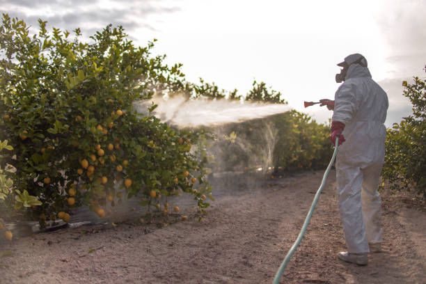 Best Mosquito Control Services  in Collinsville, OK