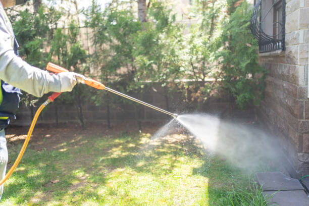 Best Rodent Control Near Me  in Collinsville, OK