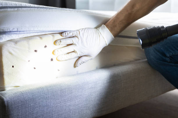 Best Pest Control for Restaurants  in Collinsville, OK