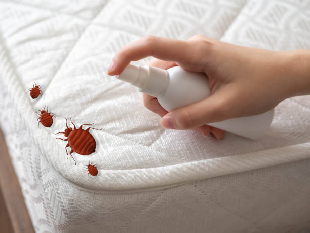 Best Affordable Pest Control Services  in Collinsville, OK