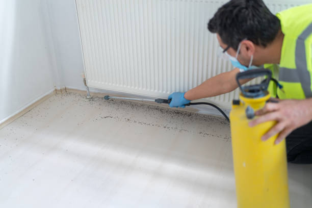 Best Ant Control Services  in Collinsville, OK