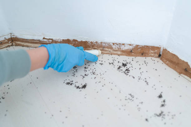 Best Emergency Pest Control  in Collinsville, OK