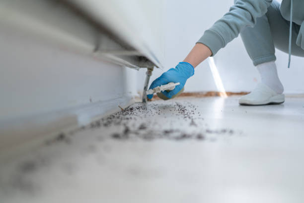 Best Local Pest Control Services  in Collinsville, OK