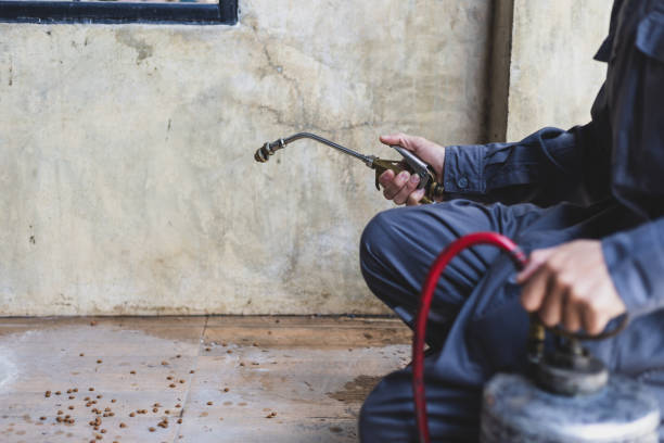 Best Pest Removal Services  in Collinsville, OK
