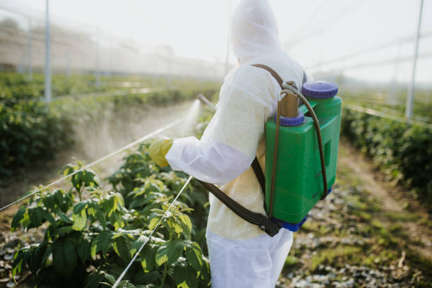 Best Affordable Pest Control Services  in Collinsville, OK